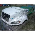 INTERNATIONAL PROSTAR 122 HOOD thumbnail 6