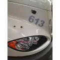 INTERNATIONAL PROSTAR 125 HOOD thumbnail 3