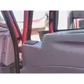 INTERNATIONAL PROSTAR 2008-2018 DOOR ASSEMBLY, FRONT thumbnail 4