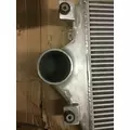 INTERNATIONAL PROSTAR Charge Air Cooler (ATAAC) thumbnail 3