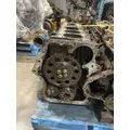 INTERNATIONAL PROSTAR Cylinder Block thumbnail 1