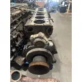 INTERNATIONAL PROSTAR Cylinder Block thumbnail 3