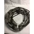 INTERNATIONAL PROSTAR Electronic Parts, Misc. thumbnail 1