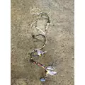 INTERNATIONAL PROSTAR Electronic Parts, Misc. thumbnail 1