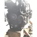 INTERNATIONAL PROSTAR Engine Assembly thumbnail 11