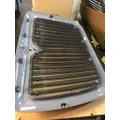 INTERNATIONAL PROSTAR Grille thumbnail 9