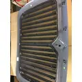 INTERNATIONAL PROSTAR Grille thumbnail 8