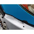 INTERNATIONAL PROSTAR HOOD thumbnail 7