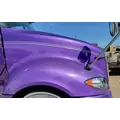 INTERNATIONAL PROSTAR Hood  thumbnail 6