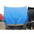 INTERNATIONAL PROSTAR Hood thumbnail 8