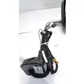 INTERNATIONAL PROSTAR Mirror (Side View) thumbnail 3