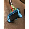 INTERNATIONAL PROSTAR Temperature Control thumbnail 2