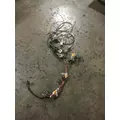 INTERNATIONAL PROSTAR WIRING HARNESS, ENGINE thumbnail 1