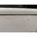 INTERNATIONAL Paystar Door Assembly, Front thumbnail 11