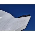 INTERNATIONAL ProStar Hood thumbnail 3