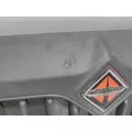 INTERNATIONAL RH Grille thumbnail 2