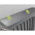 INTERNATIONAL RH Grille thumbnail 6