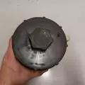 INTERNATIONAL SCHOOL BUS Engine Assembly thumbnail 2