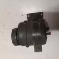INTERNATIONAL SCHOOL BUS Engine Assembly thumbnail 3
