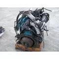 INTERNATIONAL T444E ENGINE ASSEMBLY thumbnail 5