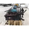 INTERNATIONAL T444E ENGINE ASSEMBLY thumbnail 10