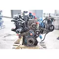 INTERNATIONAL T444E Engine Assembly thumbnail 3