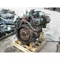 INTERNATIONAL T444E Engine Assembly thumbnail 4