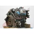 INTERNATIONAL T444E Engine Assembly thumbnail 5