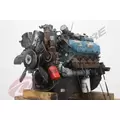 INTERNATIONAL T444E Engine Assembly thumbnail 1