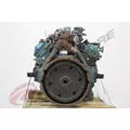 INTERNATIONAL T444E Engine Assembly thumbnail 4