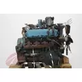 INTERNATIONAL T444E Engine Assembly thumbnail 6