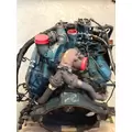 INTERNATIONAL T444E Engine Assembly thumbnail 4