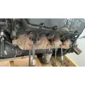 INTERNATIONAL T444E Engine Assembly thumbnail 6