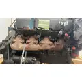 INTERNATIONAL T444E Engine Assembly thumbnail 9