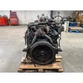 INTERNATIONAL T444E Engine Assembly thumbnail 6