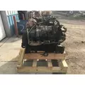 INTERNATIONAL T444E Engine Assembly thumbnail 10