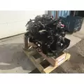 INTERNATIONAL T444E Engine Assembly thumbnail 11