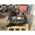 INTERNATIONAL T444E Engine Assembly thumbnail 6