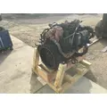 INTERNATIONAL T444E Engine Assembly thumbnail 9