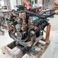 INTERNATIONAL T444E Engine Assembly thumbnail 3