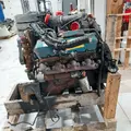 INTERNATIONAL T444E Engine Assembly thumbnail 4