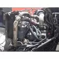 INTERNATIONAL T444E Engine Assembly thumbnail 2