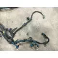 INTERNATIONAL T444E Engine Wiring Harness thumbnail 4