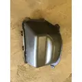 INTERNATIONAL TERRASTAR Door Panel (Trim) thumbnail 1