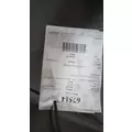 INTERNATIONAL TERRASTAR Door Panel (Trim) thumbnail 1
