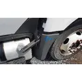 INTERNATIONAL TERRASTAR FENDER EXTENSION thumbnail 1