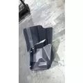 INTERNATIONAL TERRASTAR Fender Extension thumbnail 3