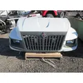 INTERNATIONAL TERRASTAR Hood thumbnail 16