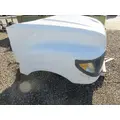 INTERNATIONAL TERRASTAR Hood thumbnail 17