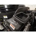 INTERNATIONAL TerraStar Door Panel (Trim) thumbnail 10